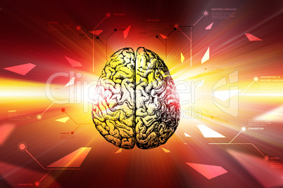 Digital brain in color background