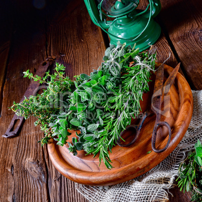 Herbal collection of: thyme,oregano, rosemary