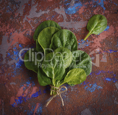 a bunch of green spinach leaves on a brown background