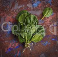 a bunch of green spinach leaves on a brown background