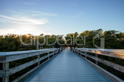 Boardwalk through the swamp, leading to Clam Pass at sunset i