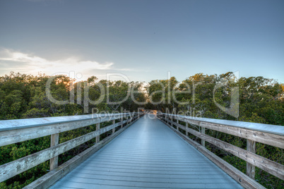 Boardwalk through the swamp, leading to Clam Pass at sunset i