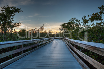 Boardwalk through the swamp, leading to Clam Pass at sunset i