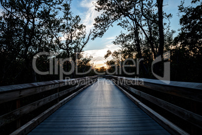 Boardwalk through the swamp, leading to Clam Pass at sunset i