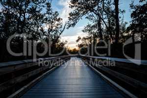 Boardwalk through the swamp, leading to Clam Pass at sunset i