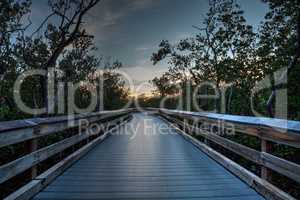 Boardwalk through the swamp, leading to Clam Pass at sunset i