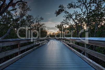 Boardwalk through the swamp, leading to Clam Pass at sunset i