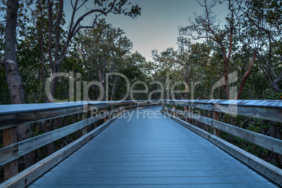 Boardwalk through the swamp, leading to Clam Pass at sunset i