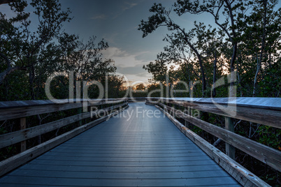 Boardwalk through the swamp, leading to Clam Pass at sunset i