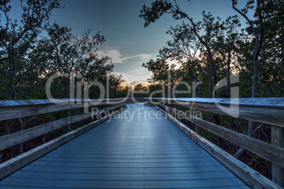 Boardwalk through the swamp, leading to Clam Pass at sunset i