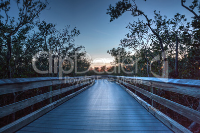 Boardwalk through the swamp, leading to Clam Pass at sunset i