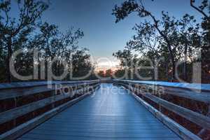 Boardwalk through the swamp, leading to Clam Pass at sunset i