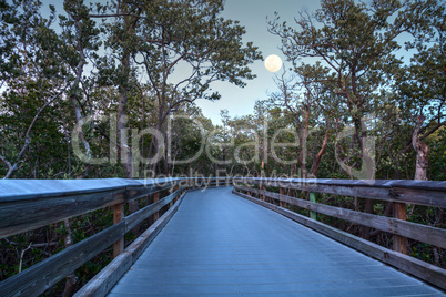 Moonrise over the Boardwalk leading to Clam Pass