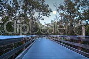 Moonrise over the Boardwalk leading to Clam Pass
