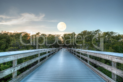 Moonset over the Boardwalk leading to Clam Pass at sunrise