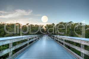 Moonset over the Boardwalk leading to Clam Pass at sunrise