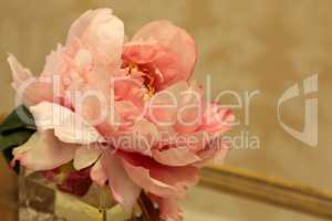 Silk pink peony flower