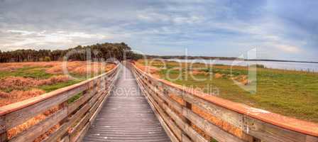 Boardwalk along the wetland and marsh at the Myakka River State