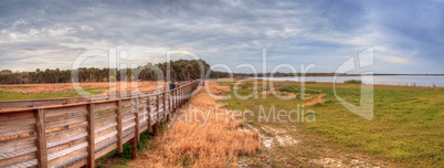 Boardwalk along the wetland and marsh at the Myakka River State
