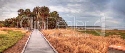 Boardwalk along the wetland and marsh at the Myakka River State