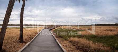 Boardwalk along the wetland and marsh at the Myakka River State