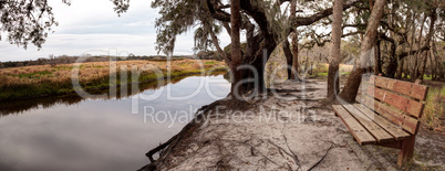 Wetland and marsh at the Myakka River State Park