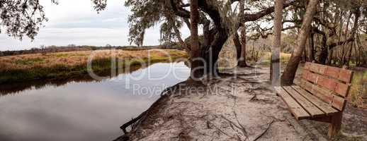 Wetland and marsh at the Myakka River State Park