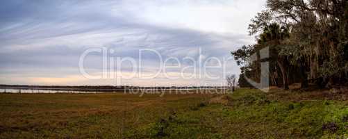 Wetland and marsh at the Myakka River State Park