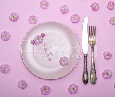 pink ceramic plate and a vintage knife with a fork