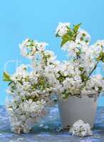 a bouquet of white flowering cherries