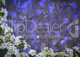 cherry branches with white flowering buds on a  textured surface