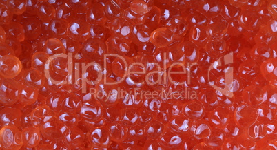 red caviar at day