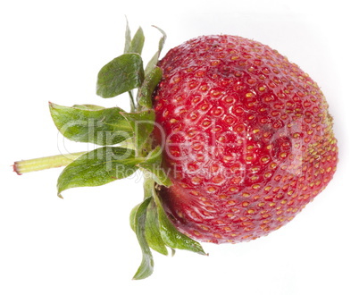 one raw red Strawberry