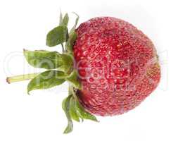 one raw red Strawberry