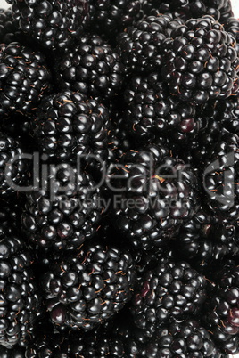 many BlackBerry at day