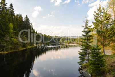 See im Frühling Fichtelsee im Wald