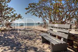 Wood bench on the white sand beach of Delnor-Wiggins Pass State