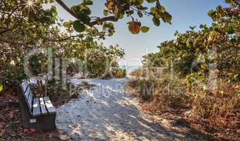 Wood bench on the white sand beach of Delnor-Wiggins Pass State