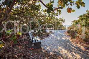 Wood bench on the white sand beach of Delnor-Wiggins Pass State