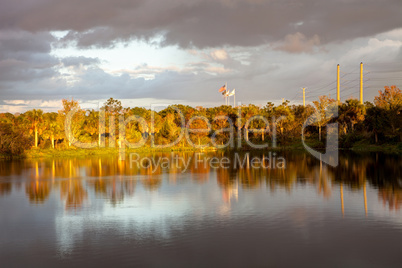 Reflection of trees in a marsh pond