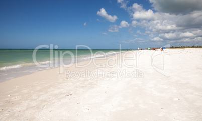 Blue sky over white sand and green beach grass of Tigertail Beac