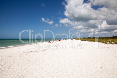 Blue sky over white sand and green beach grass of Tigertail Beac