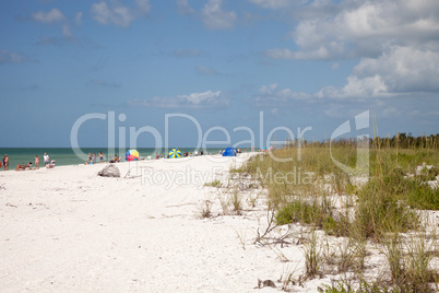 Blue sky over white sand and green beach grass of Tigertail Beac