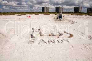 Artisan Sand sculptures of cows and bulls in the white sand of T