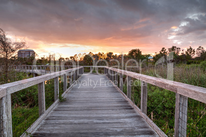 Bridge boardwalk made of wood along a marsh pond