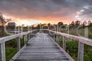 Bridge boardwalk made of wood along a marsh pond