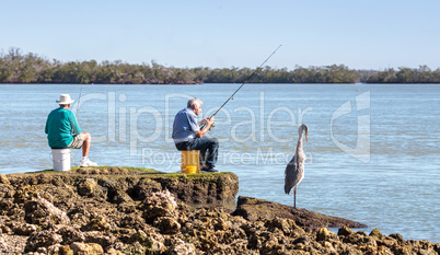 Three fishing, two men and a great blue heron Ardea herodias per