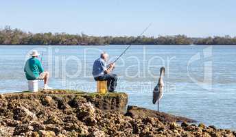 Three fishing, two men and a great blue heron Ardea herodias per