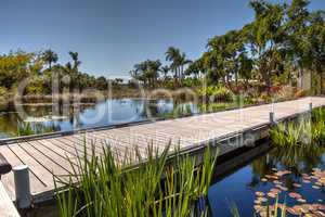 Boardwalk through a reflective pond with water lilies and plants