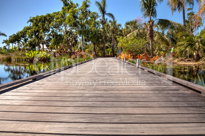 Boardwalk through a reflective pond with water lilies and plants